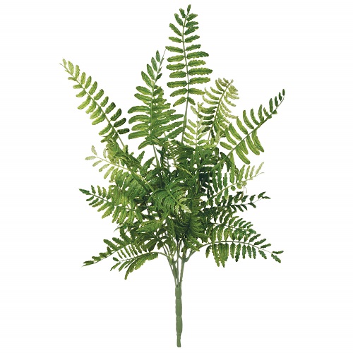 Small Fern Pick - Greenery & Floral - artificial Fern Pick for rent